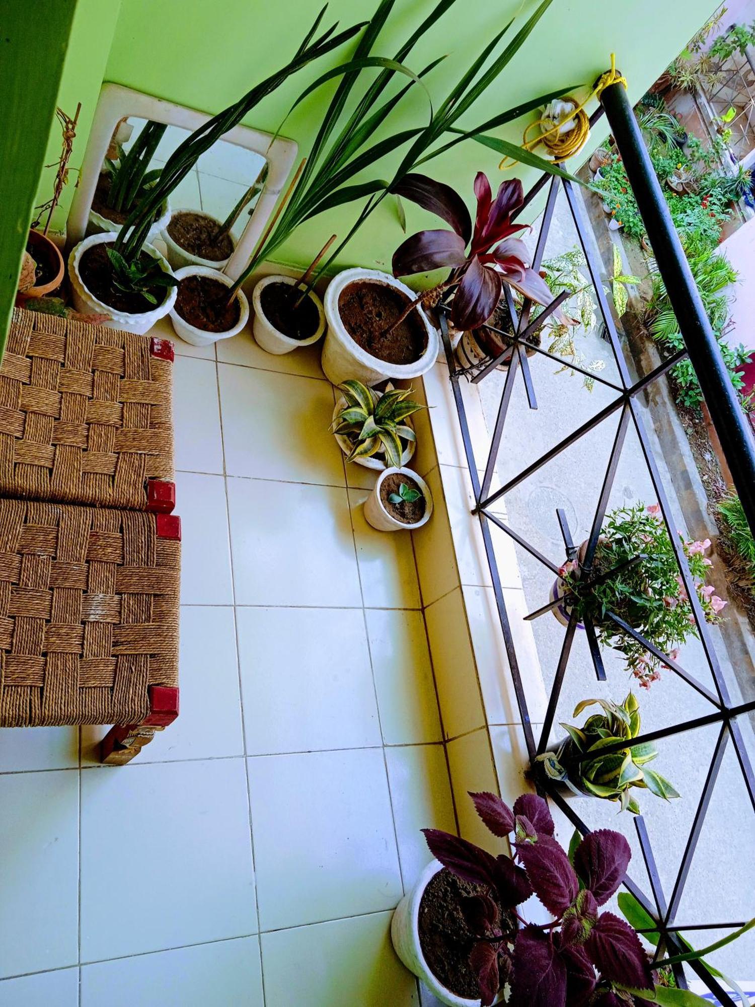 Bhoboghure Homestay Santiniketan Bolpur Luaran gambar